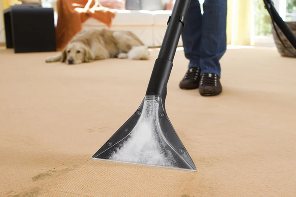 Grey sofa living room